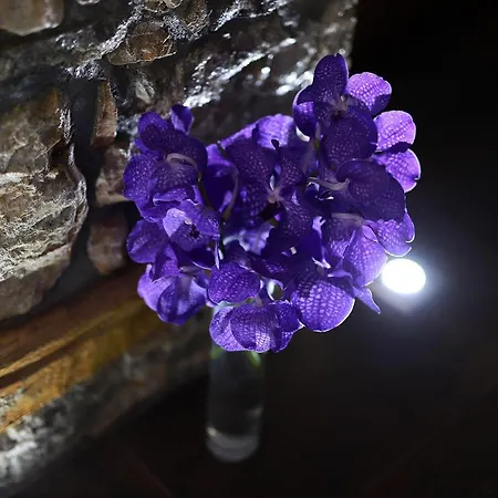 Apartament Luxury Sail 1, 2 & 3