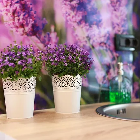 Luxury Sail 1, 2 & 3 Apartman